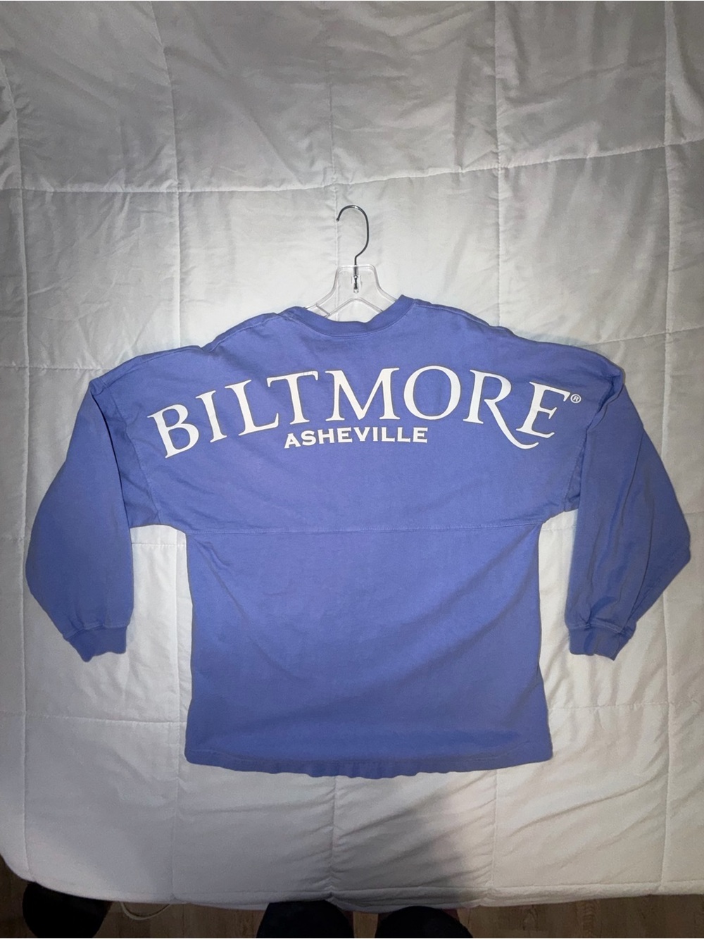 Spirit Jersey Biltmore Asheville Shirt Small Blue Back Print Made in USA